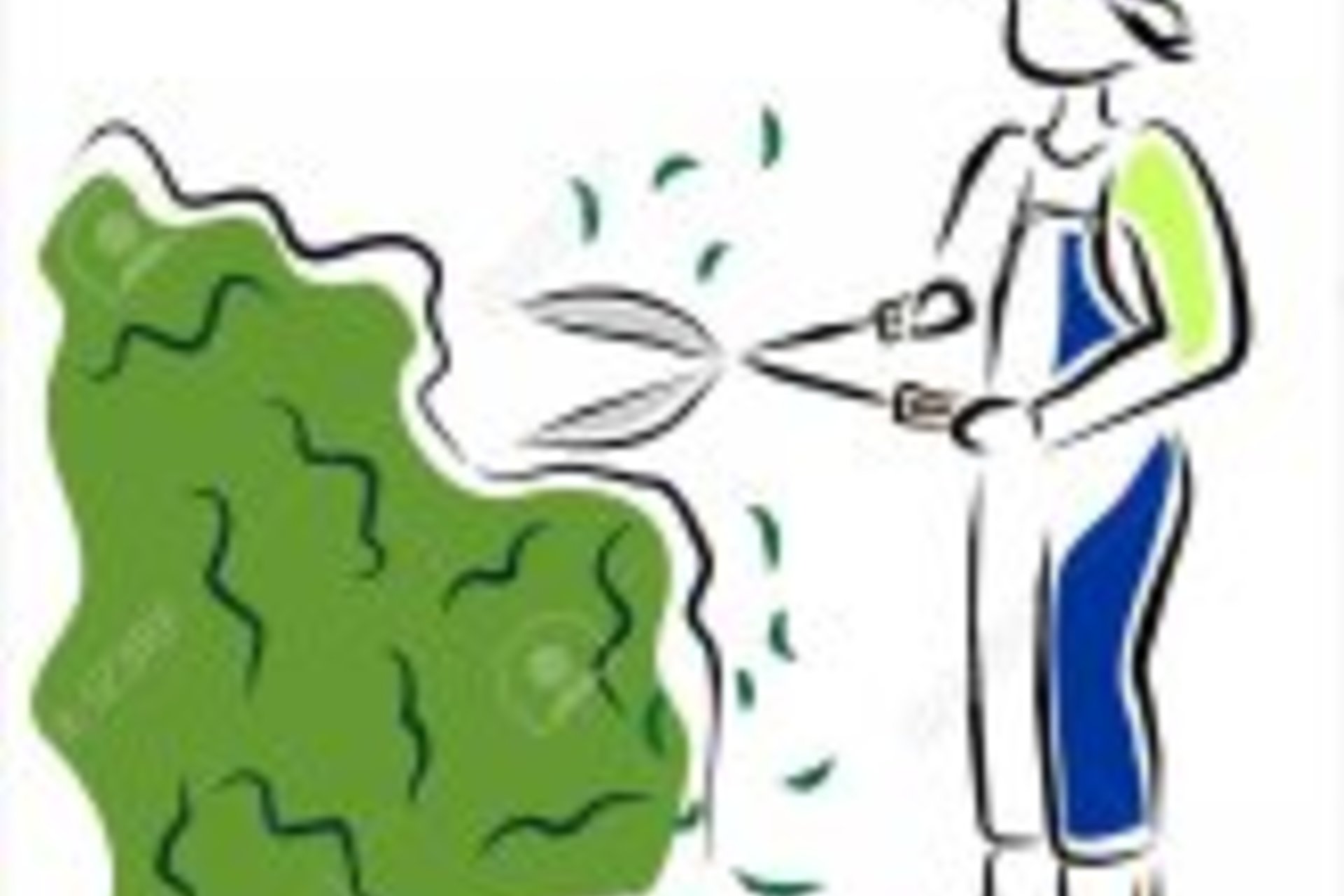 ordinanza provinciale di taglio piante e potatura siepi in fregio alle ...